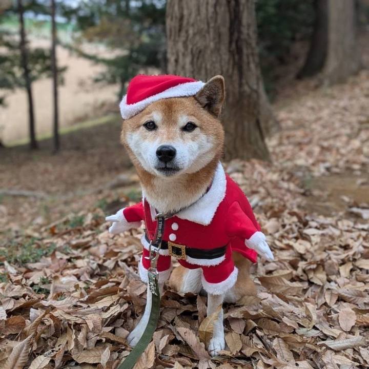 E551fc38 6884 4c44 a656 5def2765529a 1734076005293