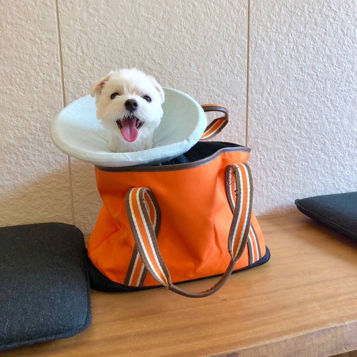 E551fdb7 a03b 491b 9a06 a5a419a00d2f 1538980091767