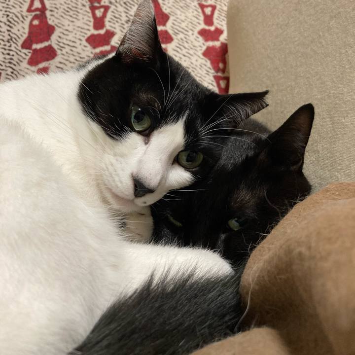 E55208f9 f06a 4f60 8af1 38f3e44234cb 1643098990112