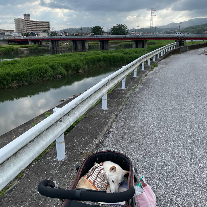 E552279e 5d5b 46e9 96ec 63b80e466fa3 1656060210870