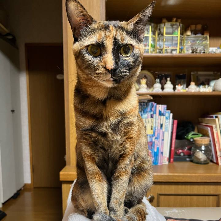 E5523ef1 019b 4d1f bb89 4ac803b586c8 1667603319420