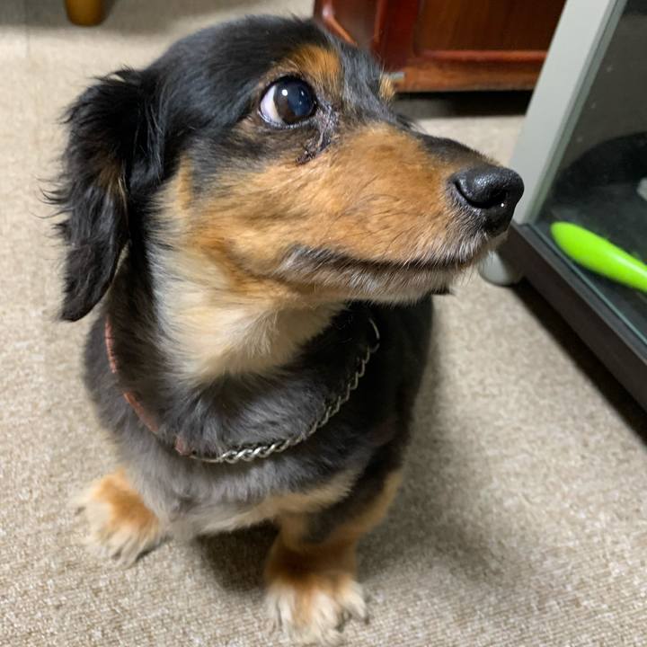 E5524d02 aae8 475f 88c7 221d64939755 1595719821356