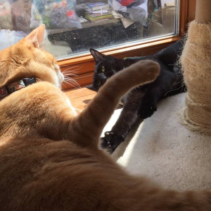 E552757c 3634 47d5 8166 d584745777ec 1553875021894