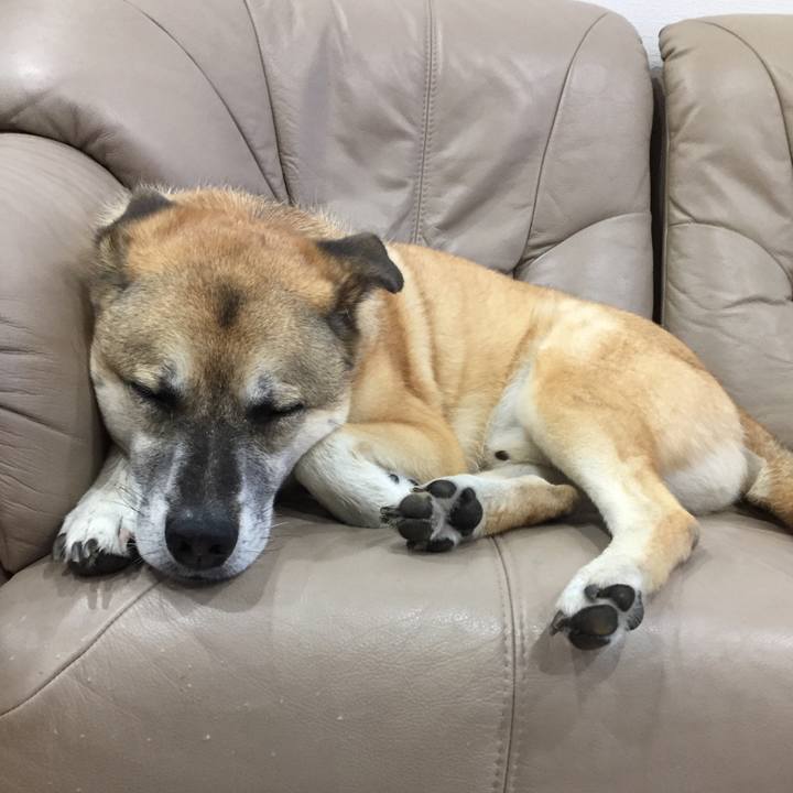 E5528599 376f 4380 9d95 8d470e347a05 1533374557408