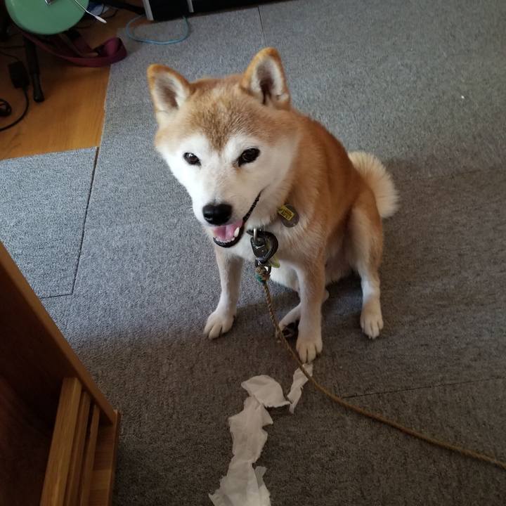 E5528688 5344 4b92 92ef fdf0dce6e0ea 1660889473870