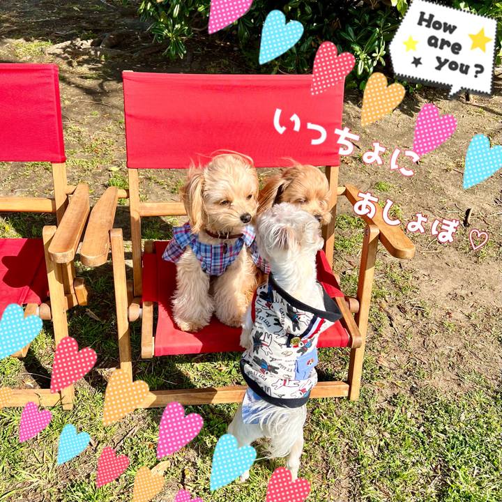 E552cb0c 352a 4e7e 95ca 02e9a636fa9a 1649747064601