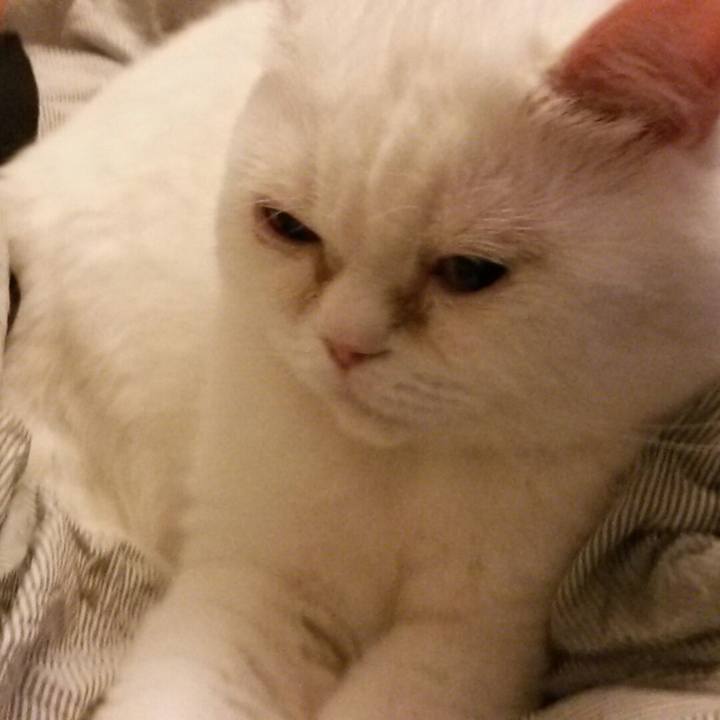 E5530936 8c67 4359 9ac7 c07130df9c2c 1524748511822