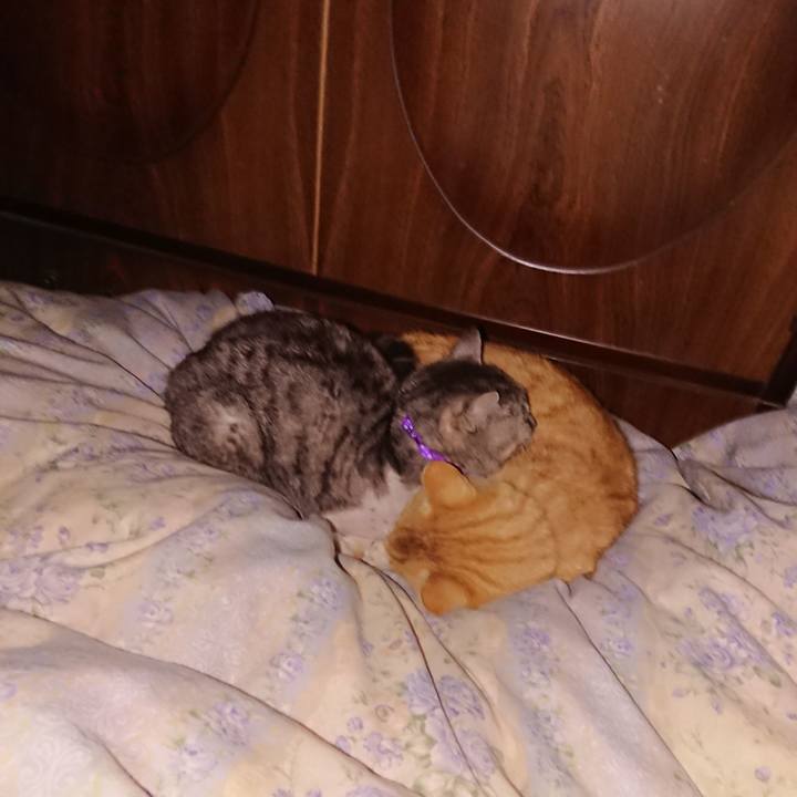 E5536ca4 75eb 4388 80ed f727a0eaaafc 1588100872941