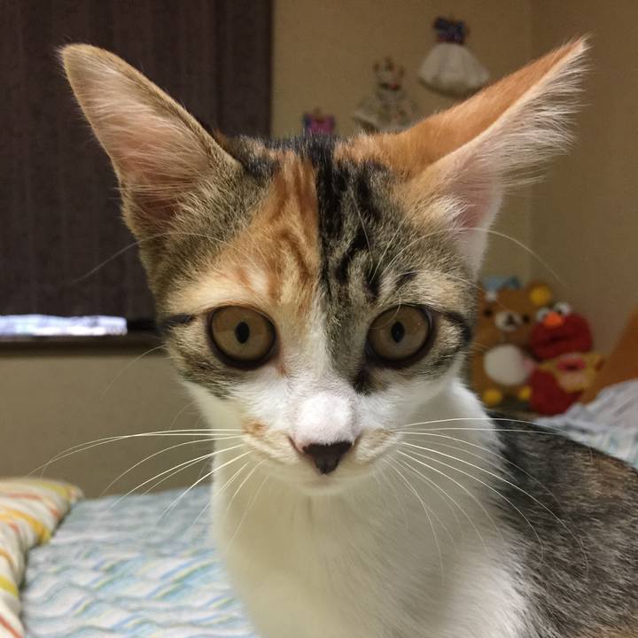 E553b284 0696 431d 9f66 4ae958c0a15d 1634212964575