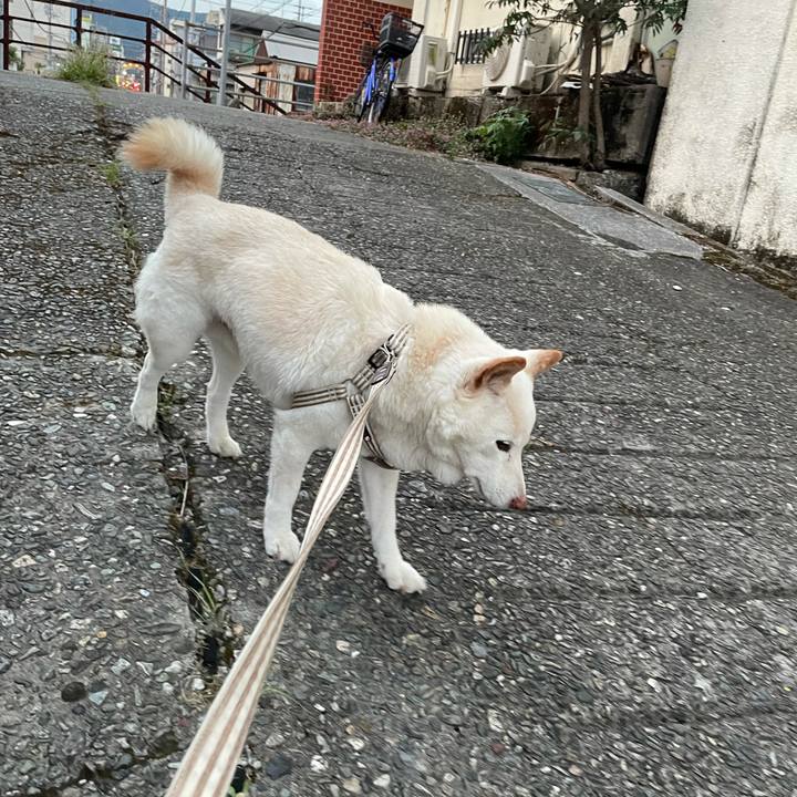 E553bf06 2d0a 47a8 be26 8c770ea94160 1635769148208