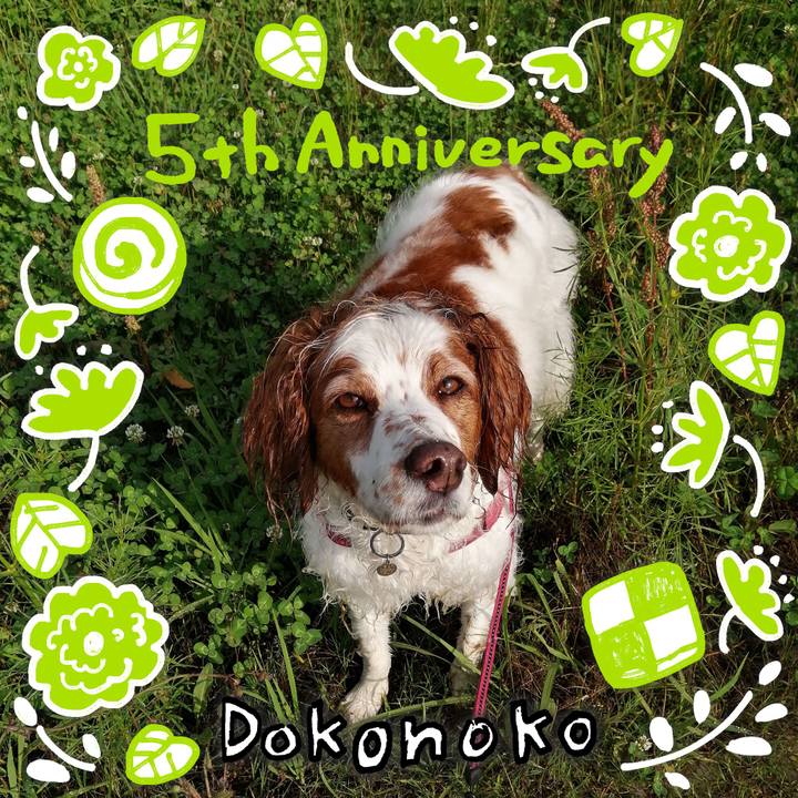 E553c029 51db 4da9 8d58 132336fae4b2 1623065378839