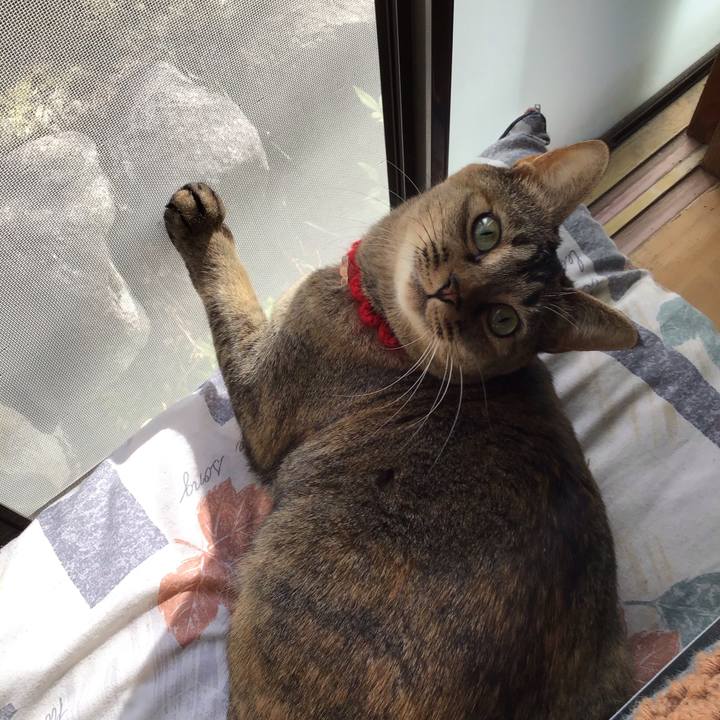 E553d1d6 b423 4ac2 807d 70496d72a49e 1613957590357