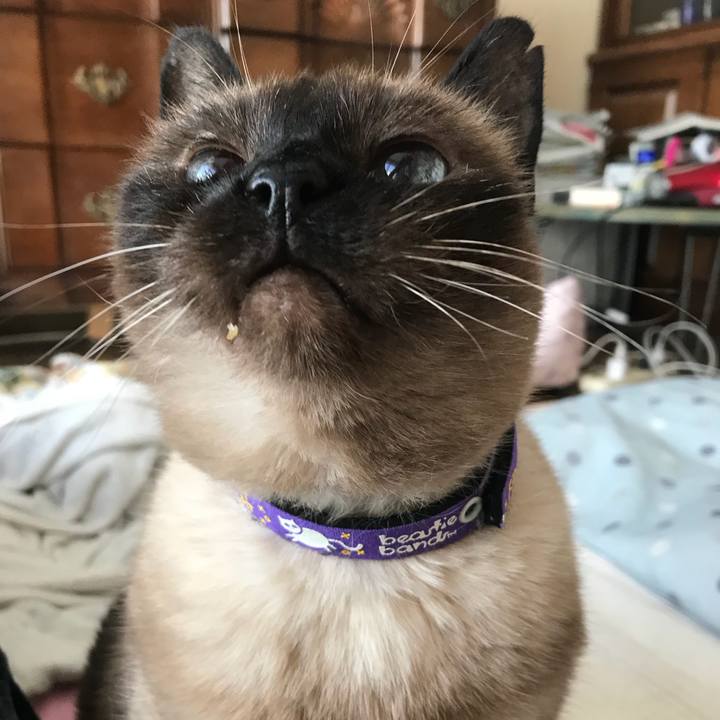 E553d2a1 b0f8 4e06 b8ea 3da992818ec6 1534562350316