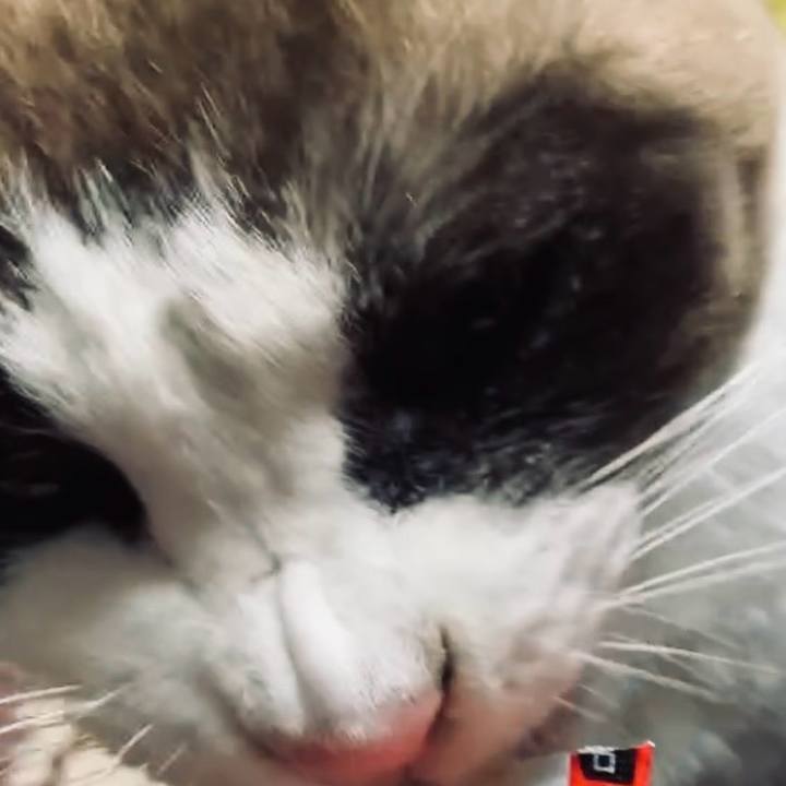 E553d8d7 34c8 4970 b651 11fac128cec7 1734608440828