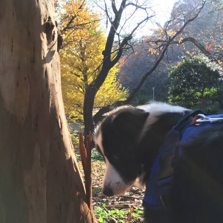 E553fcc5 708b 4c62 ad85 e84d734dd1bc 1512279028041