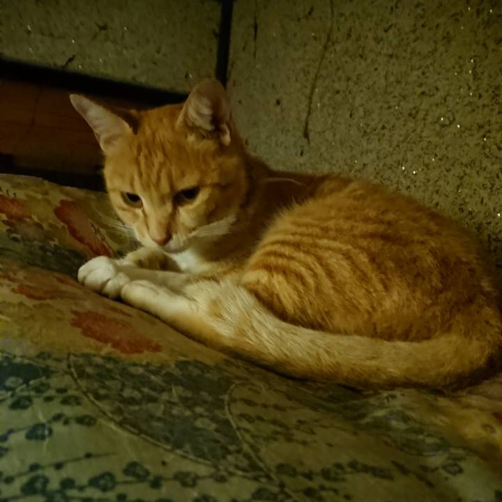 E55426e8 e72e 42bd a19b 575886ca6595 1594814241913