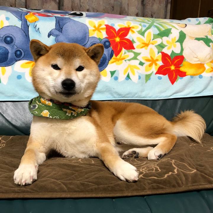 E554608c 9d52 4337 91ce d2292ce819cf 1548593416541