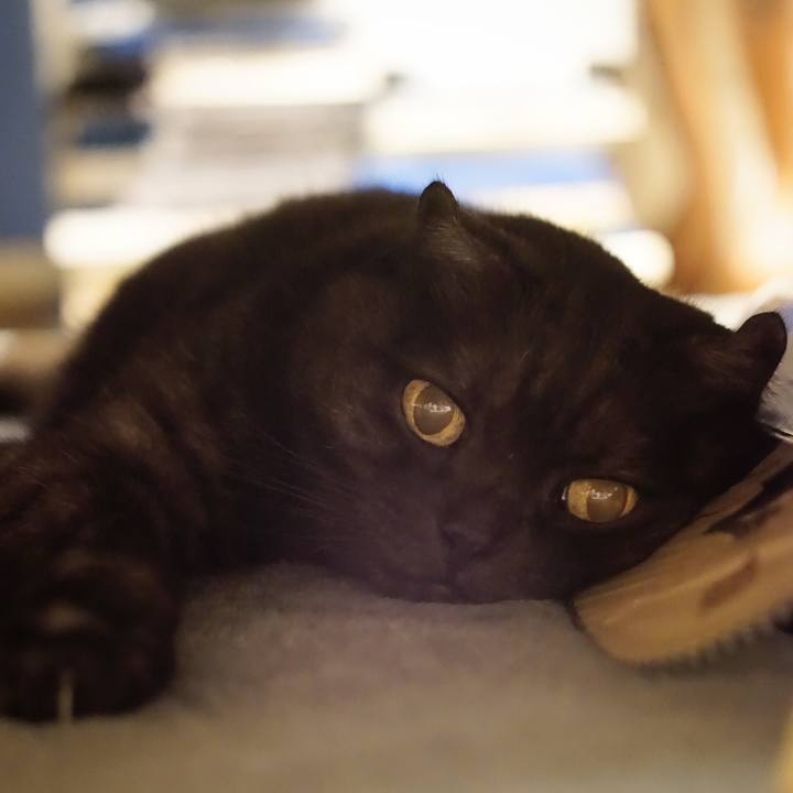 E5548652 bf76 4ea7 a58f 2b9934a64d31 1564413791370