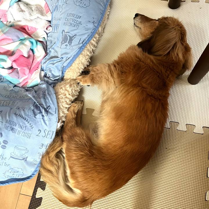 E554915b 1ddc 40b4 bcb3 d83b45b6bd82 1652183539844