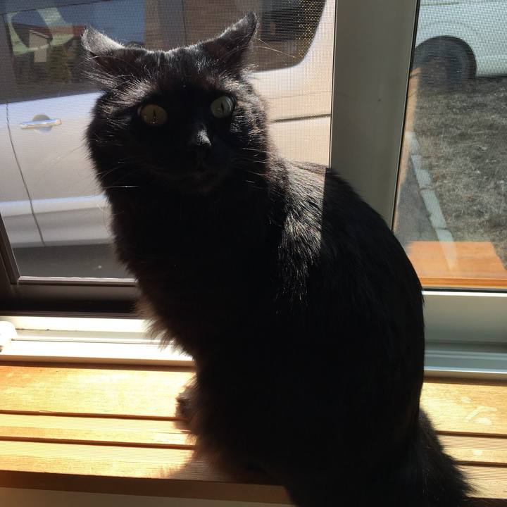 E554d191 41cb 464d 8760 a95c110d1c4f 1524443723031