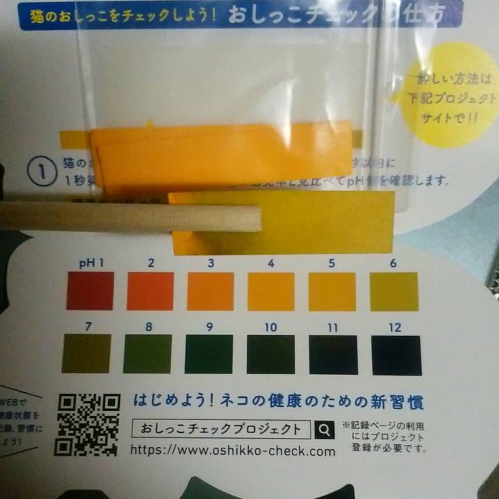 E554d959 2e56 40f3 9663 5fcbb726e263 1553245135679