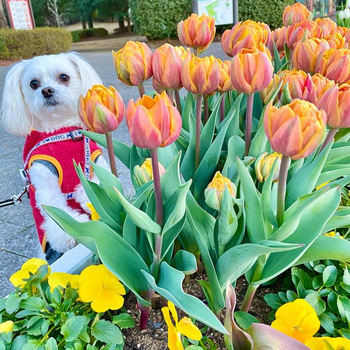 E554ddf5 f025 42e3 a315 69cc82924f2f 1646372645445