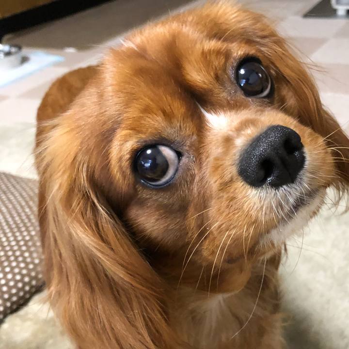 E5550718 15d1 48e7 b8b7 99072cc0f123 1527027525792