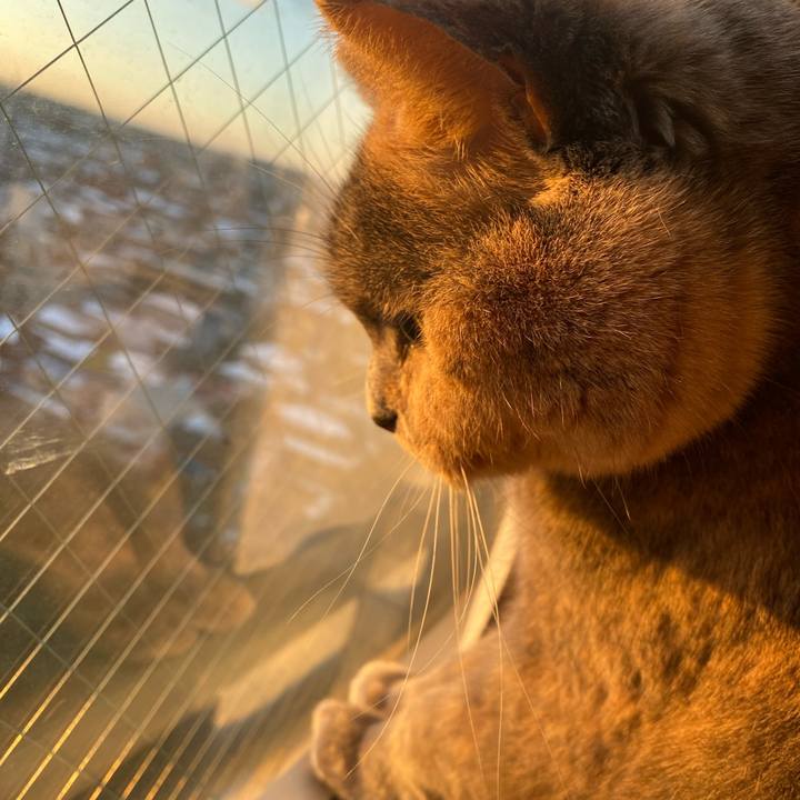 E5550a6e 8434 47f1 8389 ad10377377d1 1768306676556