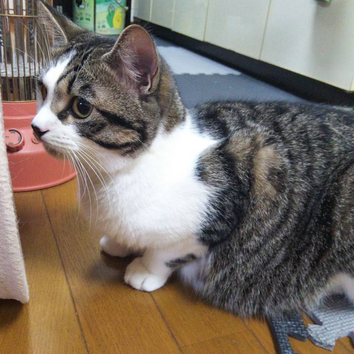 E5550fd5 0778 49ab 8bca e631b197fbc1 1624360798617