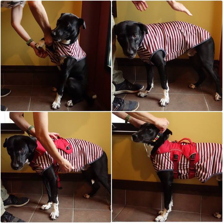 E55561e3 e0d9 4746 b5e9 9bbbdc0e0179 1596846652459