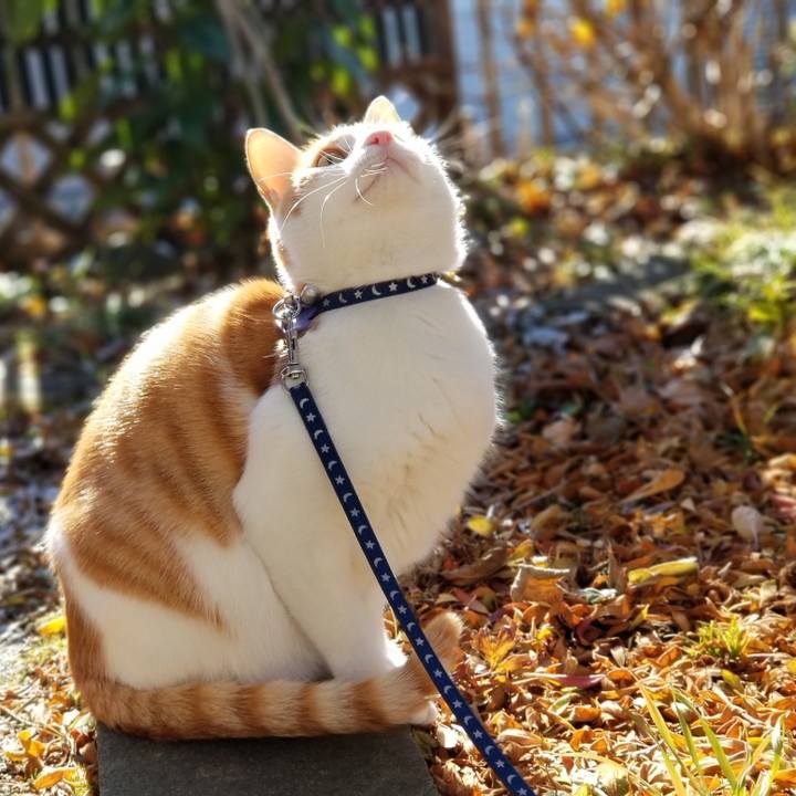 E5556205 789c 4bcf b8e4 5f5e1c63c128 1546069187147