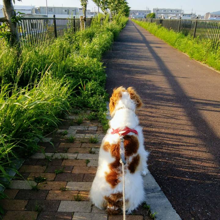 E5556a0d b450 46c3 8372 566a58ee7505 1556970522895