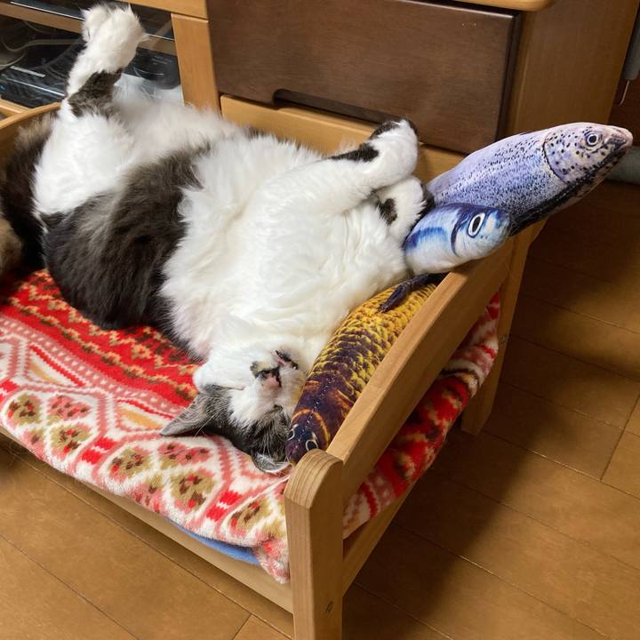 E5556c9a a4a9 4a2b 842a 325b75bce796 1708312928067