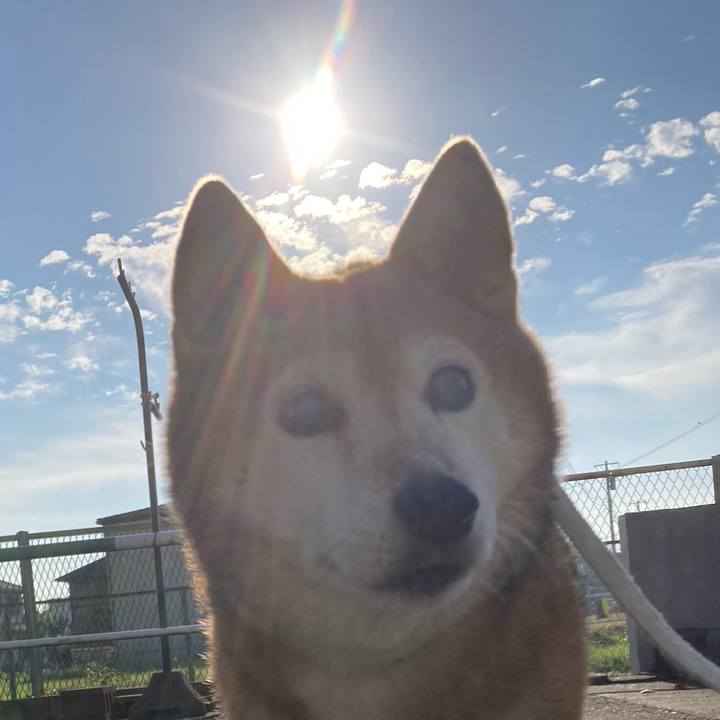 E5559b93 54ab 4c5d a9d1 0e1be2c2822e 1730768170439