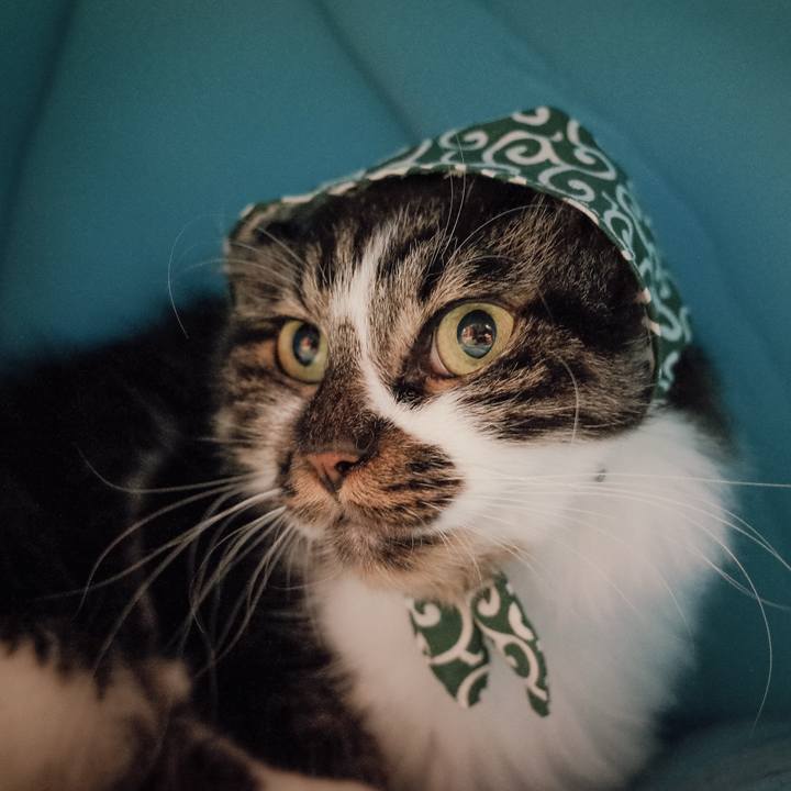 E555eb96 a0d8 4cda 977c 6f1e272dcb64 1762060395156