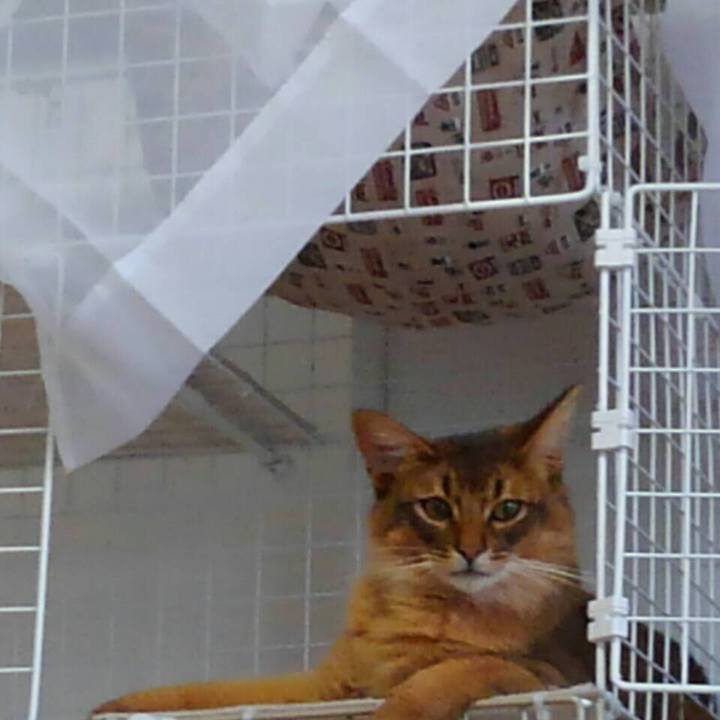 E556026b a3dc 4652 9f70 54b9fc84851f 1589267873400