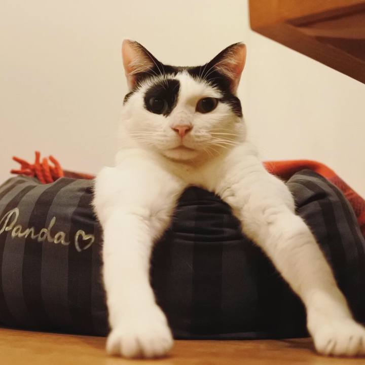 E55626c6 94cf 465a 85b9 2af0045dfe17 1539452583968