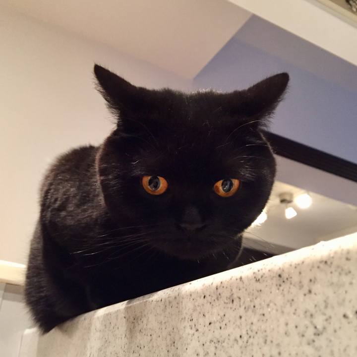 E556655b d789 4c00 90e6 b2634e76ae4a 1588249313155