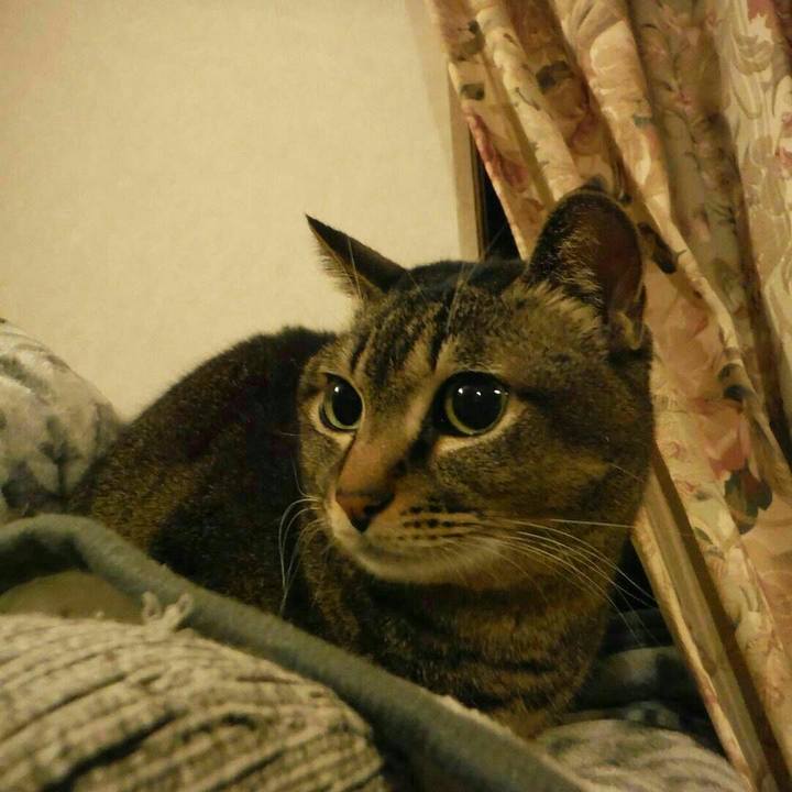 E556716c 422c 43e8 b4a6 2a44ca91872a 1523451900364