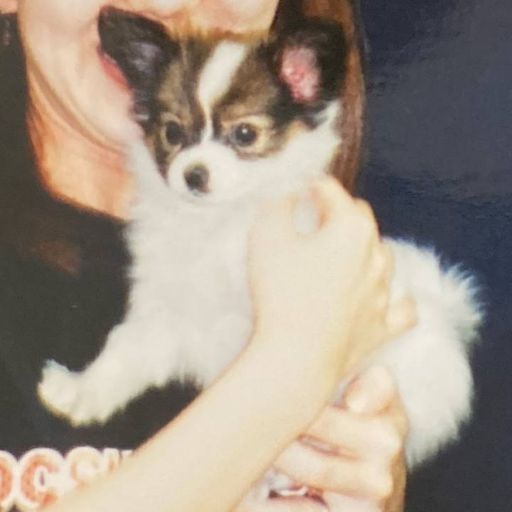 E5567bce 5716 424d 9c55 bd00d3e2cbf7 1698788535961