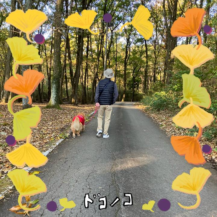 E556bf17 4b03 4f60 978e d53c6c1058a4 1729312822875