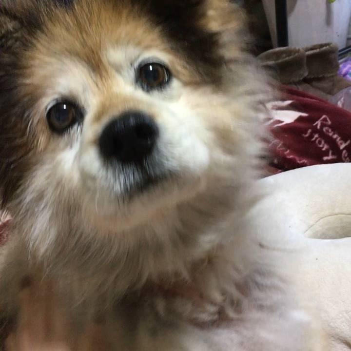 E556d968 8028 4187 9dda 441f0673a8a1 1609652309094