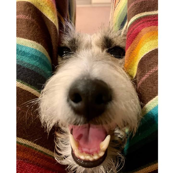 E556de04 2bf1 4353 a023 977d28c3b741 1660314373543