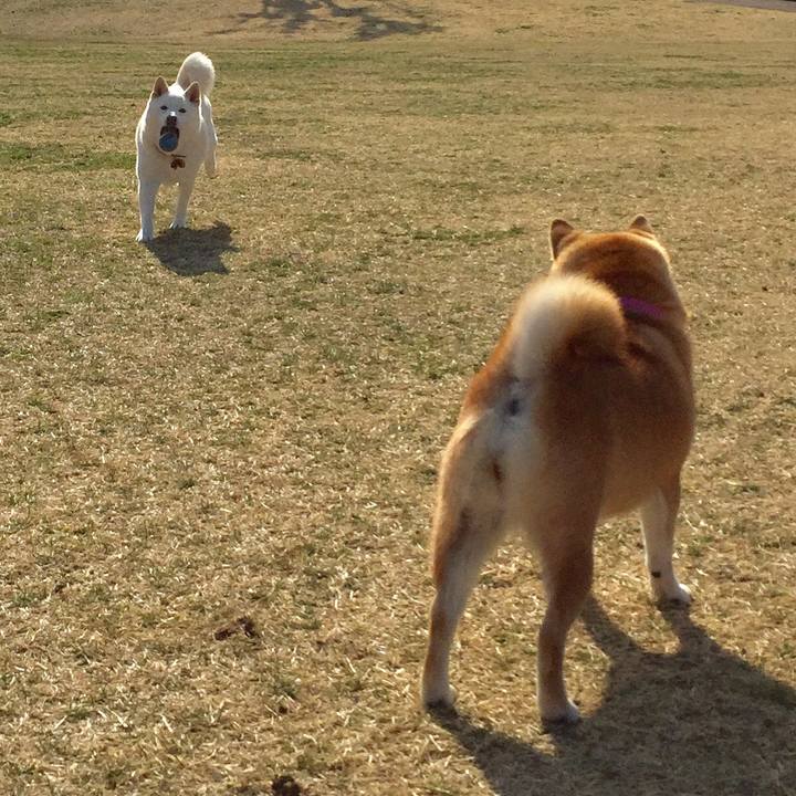 E556ea89 f158 4cc0 a854 0923b756e6af 1520912419276