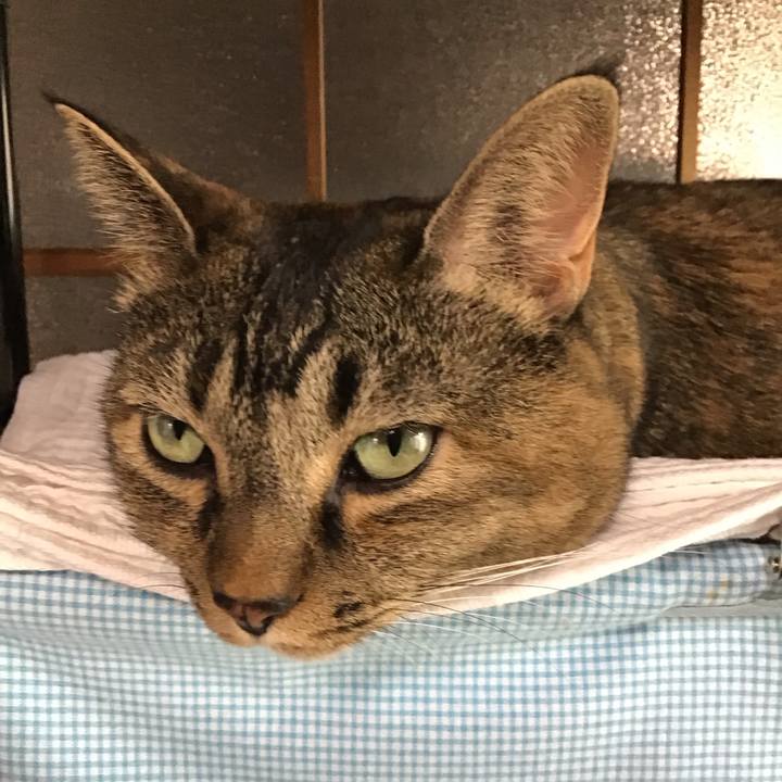 E556ece0 74ca 4cb2 8b62 bb616dbb03c1 1758945313867