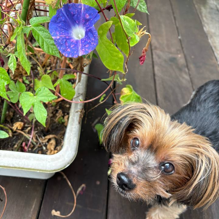 E55701ff 629b 4b12 8e23 8c5d1f6e8724 1726961349053