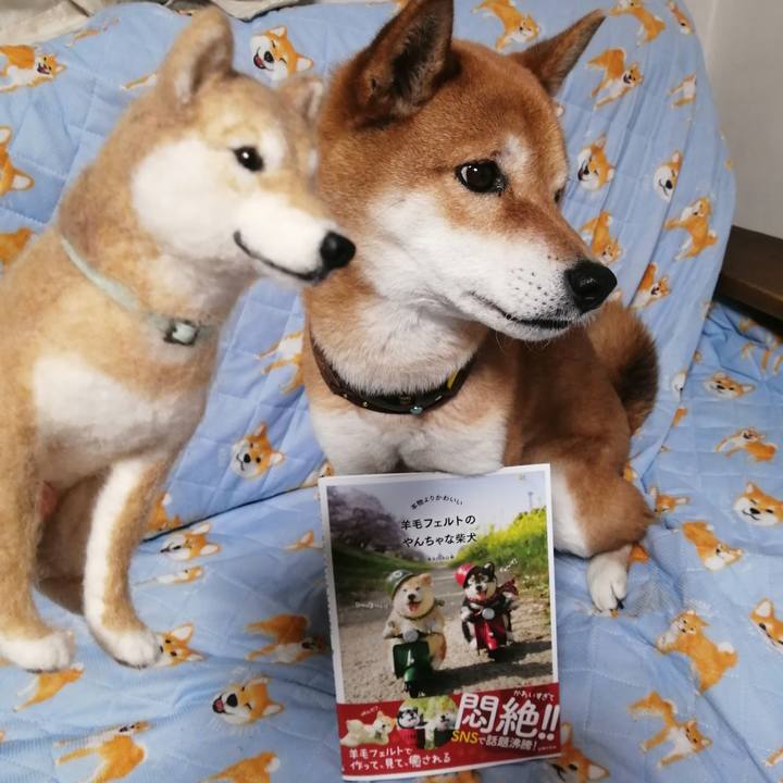 E5570f4a 49f7 4e23 9360 b09cdc670b74 1616317858536