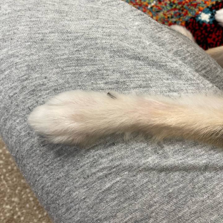 E55736d2 76b3 4fe2 b1fa 4e51b44200d9 1696862979032