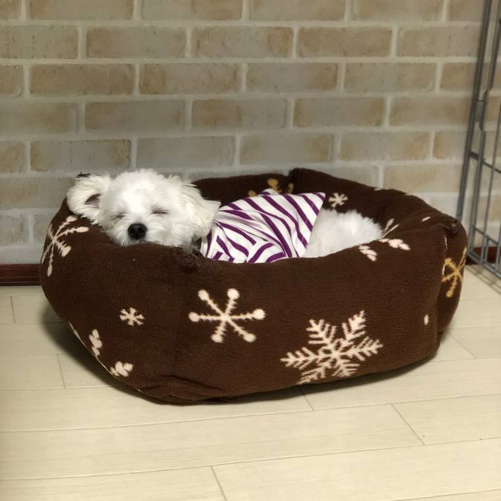 E55744ee 5b63 433b b9f8 cc92eb001f32 1524171334164