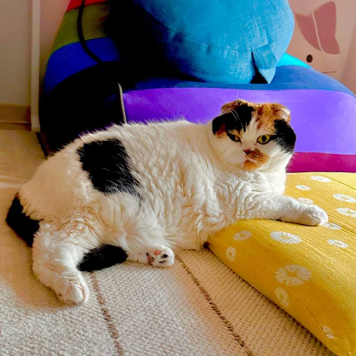 E5578e24 5b11 4261 b281 e7a665343ef1 1701134657895